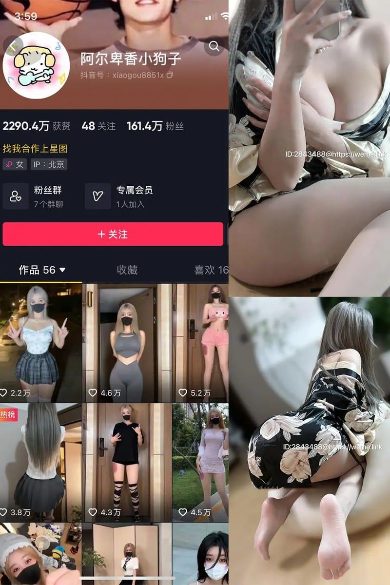 阿尔卑香小狗子 – 微密圈写真&视频合集【持续更新中】-1